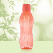 Eco pudel